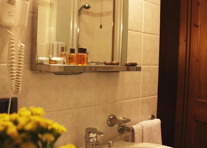 Hotell Dei Camosci 3*