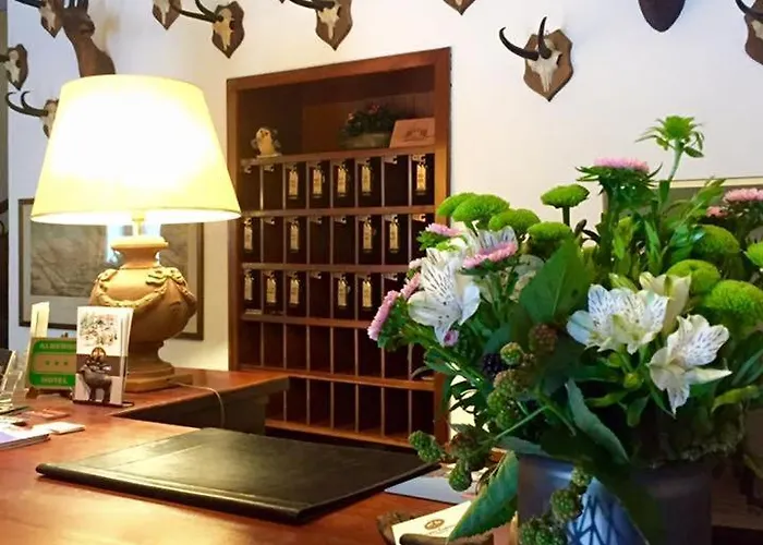 Dei Camosci Courmayeur